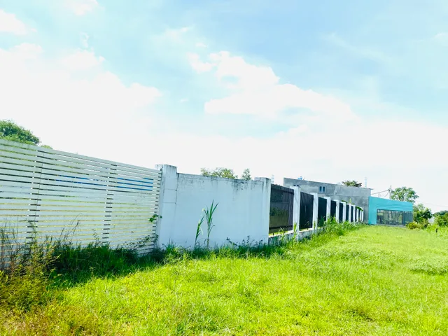 Cho thuê Đất 3731m2 có sẵn 3030 m2 thổ cư giá 59 triệu tại Đường Lê Thị Vui Xã Tân An Hội Huyện Củ Chi TP. Hồ Chí Minh