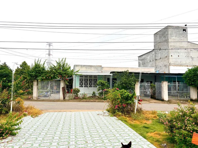 O931.783.2O9 CẦN TIỀN BÁN 260M² ĐẤT T.CƯ MT ĐƯỜNG NHỰA THÔNG RA QL13 SẴN VƯỜN BƯỞI ĐANG THU. GIÁ 870TR