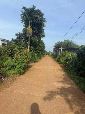 Bán Đất 447.6m2 có sẵn 120 m2 thổ cư giá 1.35 tỷ tại Xã Ea Kênh Huyện Krông Pắc Đắk Lắk