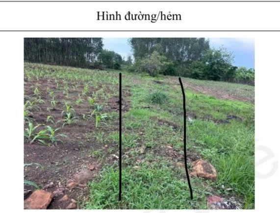 Bán Đất 4262m2 giá 4 tỷ tại Xã Cẩm Đường Huyện Long Thành Đồng Nai