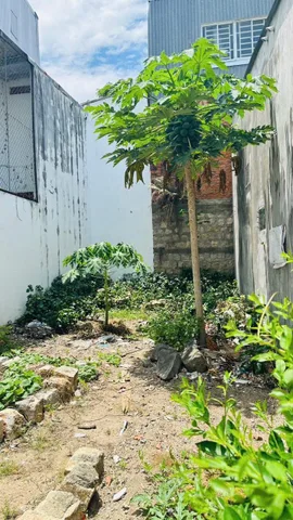 Bán Đất 49.3m2 có sẵn 49.3 m2 thổ cư giá 2.1 tỷ tại hẻm Đường Lê Hồng Phong Phường Phước Long Thành phố Nha Trang Khánh Hòa
