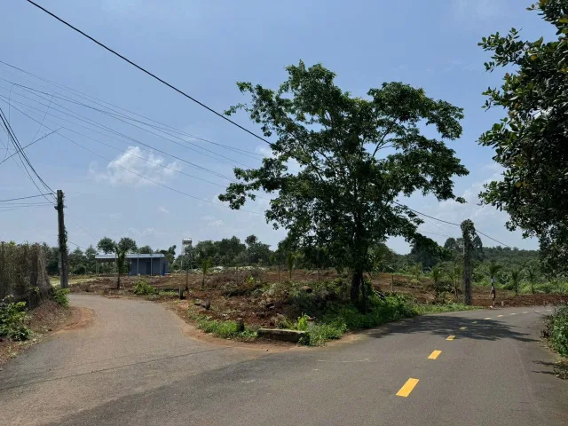 Bán Đất 3Mt có 300m2 thổ cư Quốc lộ 56 . Gần Chợ Kim Long