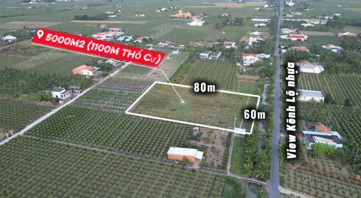 CHÍNH CHỦ BÁN ĐẤT THỔ CƯ SẴN SỔ MẶT TIỀN OTO TRÁNH TẠI AN LỤC LONG-CHÂU THÀNH, VIEW KÊNH