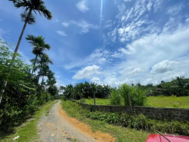 🔥 SĂN ĐẤT VÀNG KIM BÔI – TỌA ĐỘ VÀNG SÁT VÁCH V-RESORT, ĐÓN SÓNG ĐÔ THỊ NGHỈ DƯỠNG SUN GROUP!