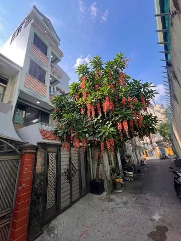 Bán Nhà riêng 62m2 có sẵn 62 m2 thổ cư giá 8.8 tỷ tại Đường Phan Văn Trị Phường 05 Quận Gò Vấp TP. Hồ Chí Minh