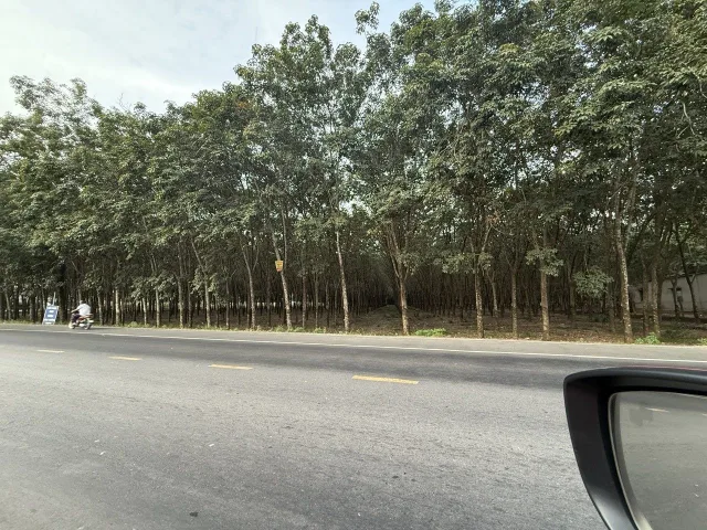 🔥 27.192M² – 3 MẶT TIỀN ĐH605 – BẾN CÁT – GIÁ 150 TỶ 🔥