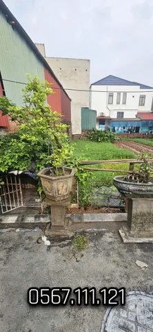 🌻🌻 Bán 64m2 Đất Mạch Lũng, Đại Mạch – Ngay Chân Cầu Thượng Cát – Vuông Vắn