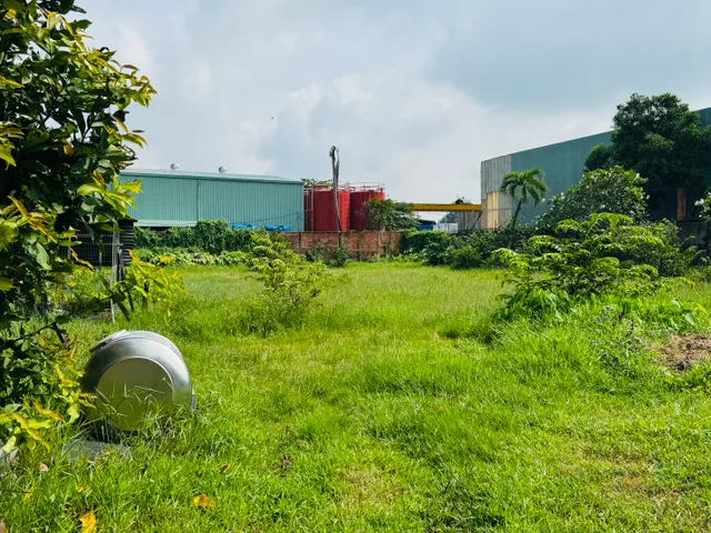 Bán Đất 1360m2 có sẵn 300 m2 thổ cư giá 55 tỷ tại Đường Đỗ Văn Dậy Xã Tân Hiệp Huyện Hóc Môn TP. Hồ Chí Minh