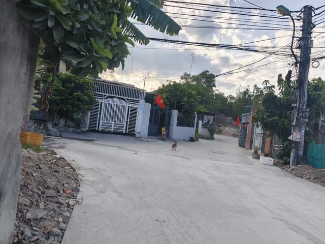 Bán Đất 206m2 giá 3.2 tỷ tại Đường Hoàng Minh Thảo, Phước Tân - Xã Phước Đồng Thành phố Nha Trang Khánh Hòa