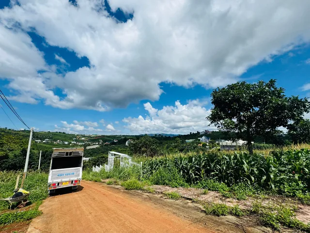 Đất NGỘP ở Nam Ban chỉ 100m ra đường nhựa . View Thoáng. Giá 850 triệu. Giá bán trong tuần này