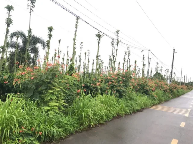 Bán Đất 5000m2 có sẵn 100 m2 thổ cư giá 14 tỷ tại Đường Tỉnh 765 Xã Lâm San Huyện Cẩm Mỹ Đồng Nai