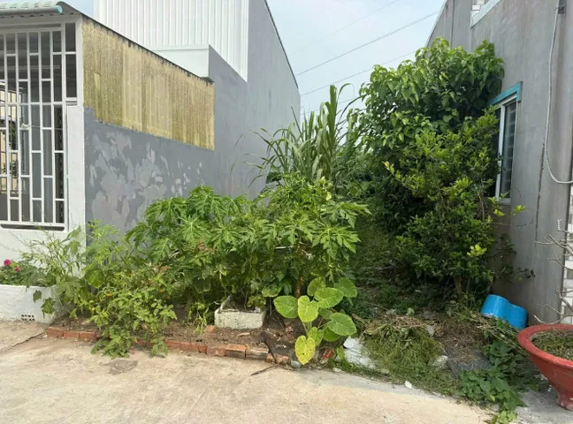 Bán Đất 120m2  giá 700 triệu tại Đường Suối Lội Xã Tân Thông Hội Huyện Củ Chi TP. Hồ Chí Minh
