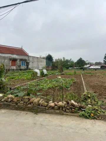Bán Đất 100m2 có sẵn 100 m2 thổ cư giá 3.8 tỷ tại Xã Việt Hùng Huyện Đông Anh Hà Nội