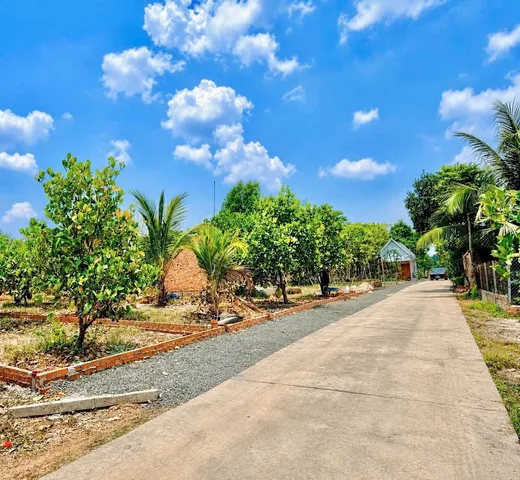BÁN GẤP 1.000M2, ĐẤT THỔ CƯ SỔ RIÊNG SÁT CHỢ, TR.HỌC, UBND DÂN ĐÔNG. GIÁ 250 triệu