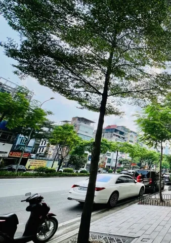 Bán Nhà riêng 45m2 có sẵn 45 m2 thổ cư giá 45 tỷ tại Đường Xã Đàn Phường Ô Chợ Dừa Quận Đống Đa Hà Nội