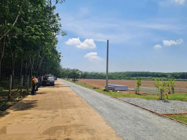 Bán Đất 165m2 có sẵn 50 m2 thổ cư giá 320 triệu tại Đường D11 Xã Tân Phước Huyện Đồng Phú Bình Phước