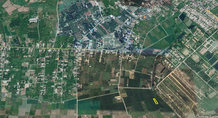 TÂN SINH ĐÔNG – CAM LÂM – KHÁNH HÒA – 800M² – GIÁ 650 TRIỆU/SÀO