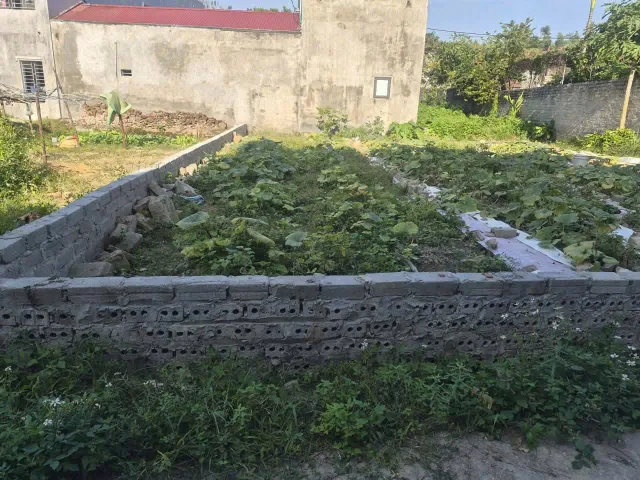 Bán Đất 100m2 có sẵn 70 m2 thổ cư giá 1.4 tỷ tại Thị trấn Neo Huyện Yên Dũng Bắc Giang