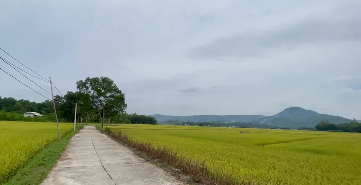 Bán Đất Đà Nẵng- đất  thổ cư giá 545 triệu tại Thăng Bình 280 m