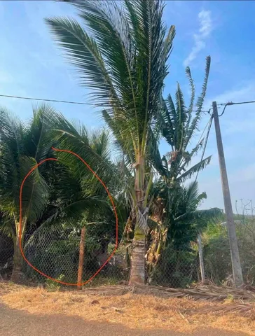 Bán Đất 150m2 có sẵn 60 m2 thổ cư giá 899 triệu tại Xã Cư ÊBur Thành phố Buôn Ma Thuột Đắk Lắk