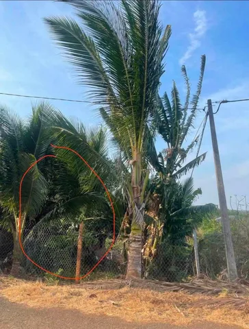 Bán Đất 150m2 có sẵn 60 m2 thổ cư giá 890 triệu tại Xã Cư ÊBur Thành phố Buôn Ma Thuột Đắk Lắk