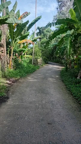 Bán Đất 400m2 giá 2 tỷ tại Đường Nguyễn Văn Cừ Phường Long Tuyền Quận Bình Thuỷ Cần Thơ