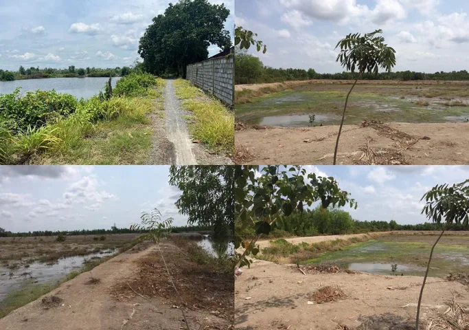 Bán Đất 8700m2 giá 15 tỷ tại Đường Lý Nhơn Xã An Thới Đông Huyện Cần Giờ TP. Hồ Chí Minh