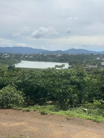 đất view hồ Tân Châu chỉ 1ty 260m2,100tc