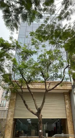 Cho thuê Nhà riêng 150m2 giá 160 triệu tại Đường Nguyễn Khang Phường Yên Hoà Quận Cầu Giấy Hà Nội
