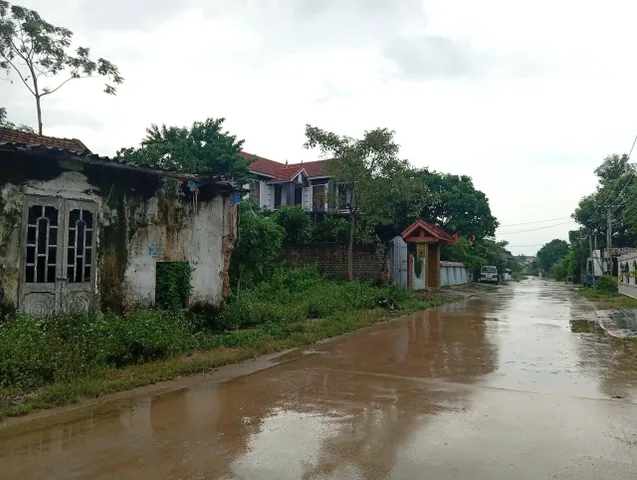 Bán Đất 179m2 có sẵn 179 m2 thổ cư giá 1.3 tỷ tại - Chọn - Phường Đông Tiến Thanh Hóa