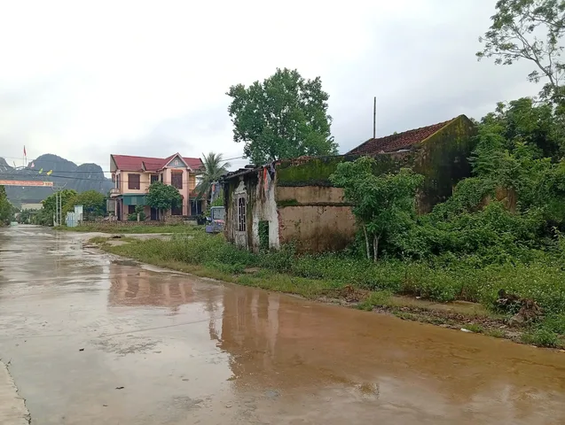 Bán Đất 179m2 có sẵn 179 m2 thổ cư giá 1.3 tỷ tại - Chọn - Phường Đông Tiến Thanh Hóa