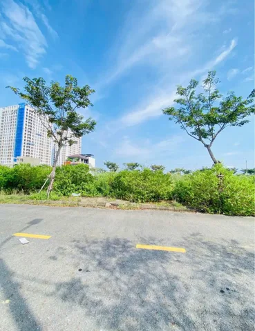 Bán đất đường đầm sen 16 📌📌📌Làm việc trực tiếp giá tốt !!!