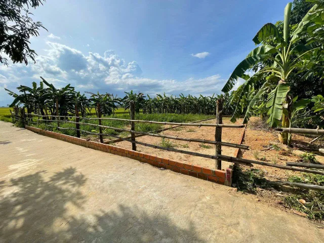 Bán Đất 125m2 có sẵn 125 m2 thổ cư giá 580 triệu tại - Chọn - Xã Điện Bàn Tây Đà Nẵng