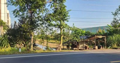 Bán đất vườn rộng mặt tiền quốc lộ 61c Phong Điền, Cần Thơ