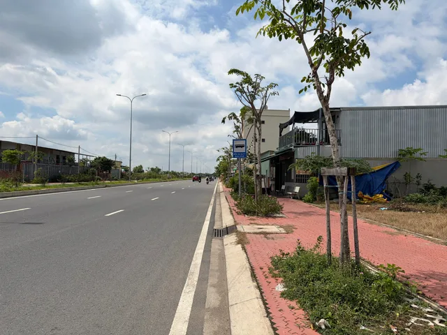 Bán Đất 2034m2 (có sẵn 250 m2 thổ cư) - Giá 80 tỷ tại Đường Song Hành Quốc Lộ 50, Xã Đa Phước, Huyện Bình Chánh, TP. Hồ Chí Minh