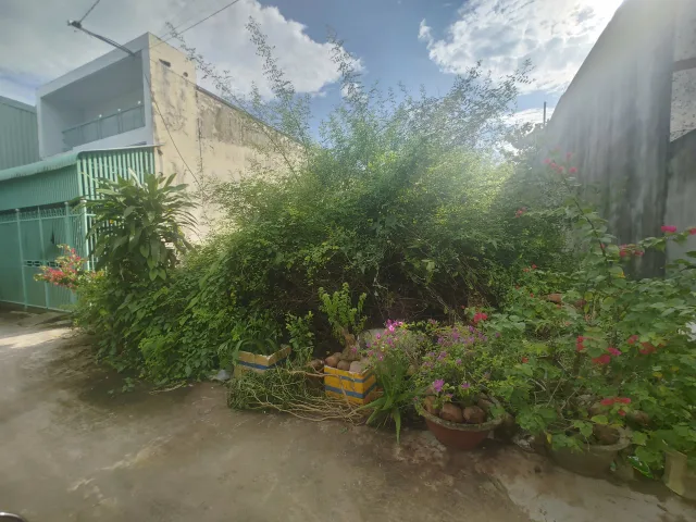 Bán Đất 131.4m2 có sẵn 131.4 m2 thổ cư giá 1.45 tỷ tại Phường 6 Thành phố Sóc Trăng Sóc Trăng