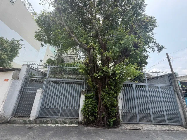 NGANG LỚN 10M - 210M2, SỔ ĐẸP - C4 TIỆN XÂY MỚI - HẺM NHỰA 6M - NGAY NGUYỄN SỸ SÁCH - HƠN 20Tỷ
