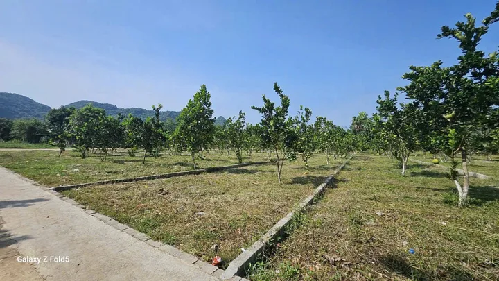 Bán giá 245 triệu 177mét  vuông tại Xã Bảo Hiệu Huyện Yên Thủy Hòa Bình giá chỉ hơn 1TR/M