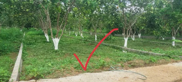 Bán Đất 177m2 có sẵn 50 m2 thổ cư giá 255.6 triệu tại Thị trấn Ba Hàng Đồi Huyện Lạc Thủy Hòa Bình