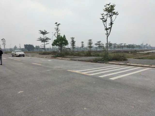 🌱Bán 2 Lô Liền Nhau Văn Phú, Đông Yên, Yên Phong Mt 10m Dt 230m2 Giá 8 Tlh e Điệp 0395777369