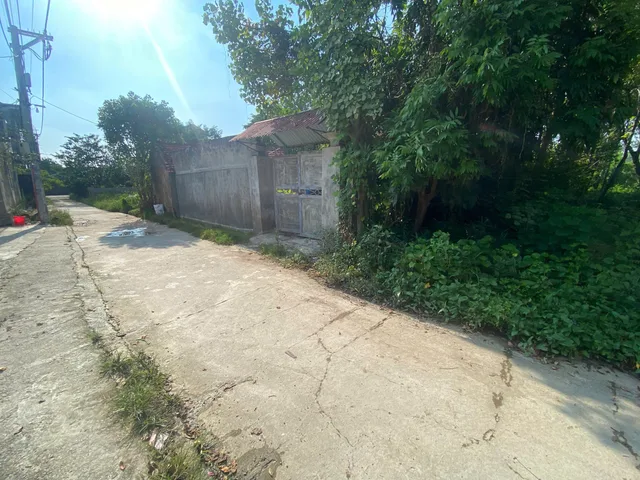 Bán Đất 540m2 có sẵn 300 m2 thổ cư giá 18.9 tỷ tại Xã Chuyên Mỹ Huyện Phú Xuyên Hà Nội