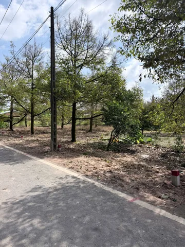 Bán Đất 450m2 có sẵn 100 m2 thổ cư giá 450 triệu tại Xã Cây Trường II Huyện Bàu Bàng Bình Dương