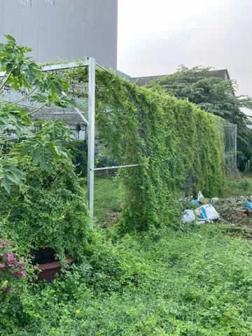 BÁN GẤP LÔ ĐẤT 200M2 GIÁ 800TR NGAY PHƯỚC HIỆP CỦ CHỈ
