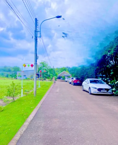 Bán Đất 239m2 có sẵn 100 m2 thổ cư giá 890.1 triệu tại Xã Tân Long Huyện Phú Giáo Bình Dương