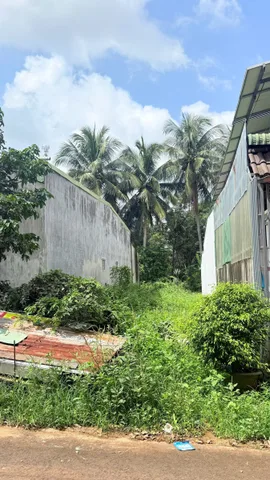 Bán đất 125m² có 40m² thổ cư giá 1,35 tỷ tại Thành Nhất Đắk Lắk