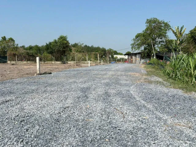 Bán Đất 291m2 có sẵn 56 m2 thổ cư giá 785 triệu đường rộng 8m tại Phường Gia Lộc Tây Ninh