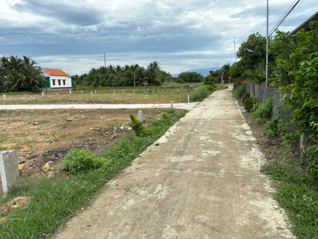 0938113403 Bán Đất 92.8m2 có sẵn 92.8 m2 thổ cư giá 330 triệu tại Xã Ninh Phú Thị xã Ninh Hòa Khánh Hòa Z763