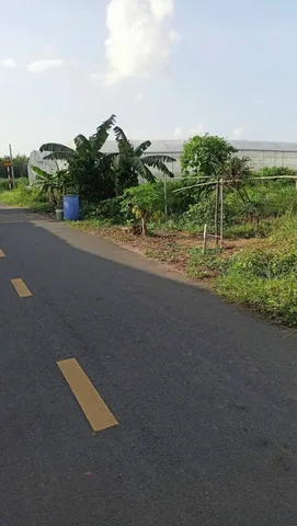 Bán Đất 450m2 có sẵn 200 m2 thổ cư giá 420 triệu tại Xã Nha Bích Thị xã Chơn Thành Bình Phước