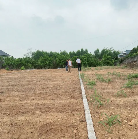 Bán Đất 240m2 có sẵn 70 m2 thổ cư giá 790 triệu tại Xã Lan Mẫu Huyện Lục Nam Bắc Giang