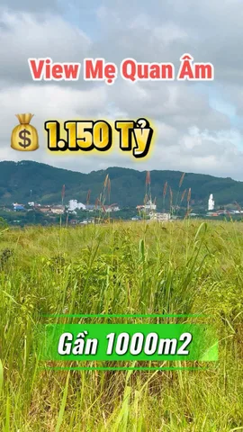 Gần 1000m2. Sẵn Thổ Cư 100m . Đất Ngộp cần bán nhanh 1.150 Tỷ. Ở xã Nam Ban Lâm Hà